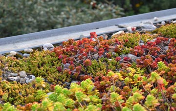 the cost of Back Oth Brook green roof installation