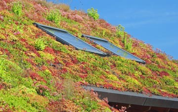 Back Oth Brook living roof systems