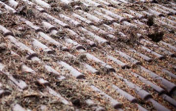 Back Oth Brook roof cleaning companies