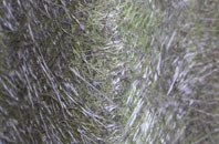 Back Oth Brook fibreglass roof work